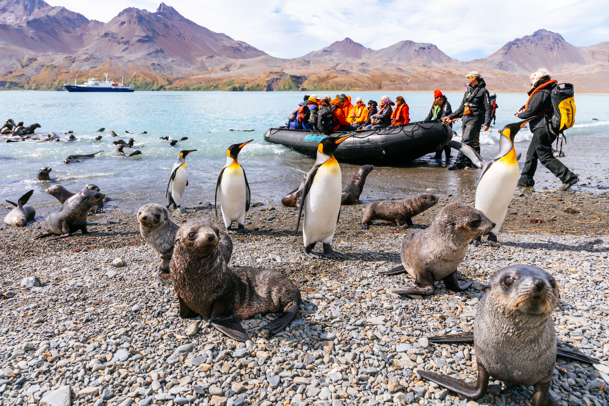 Pictures taken on the 'Falkland Islands - South Georgia - Antarctic Peninsula Cruise by Oceanwide Expeditions